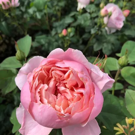 Maison d'hôtes Franciscan