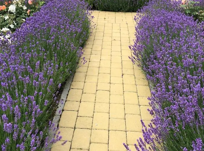 Franciscan Svečių namai 3*